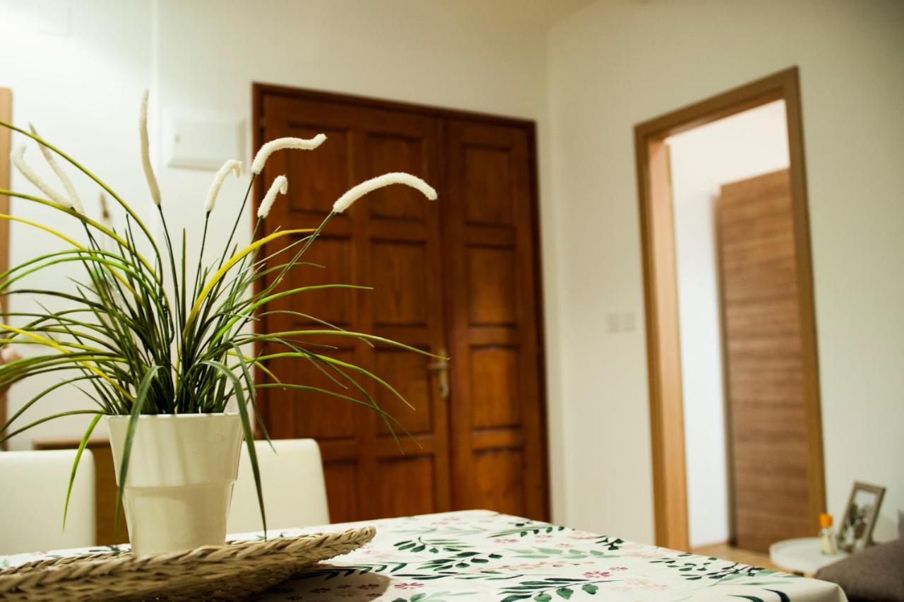 Apartman Flower Σίμπενικ Εξωτερικό φωτογραφία